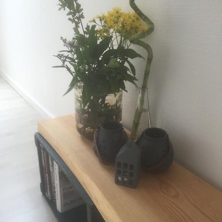 Bed and Breakfast Skovlunds Hojene Екстер'єр фото